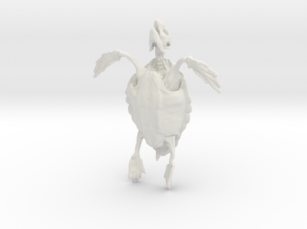Great A Turtle Skeleton in White Natural Versatile Plastic