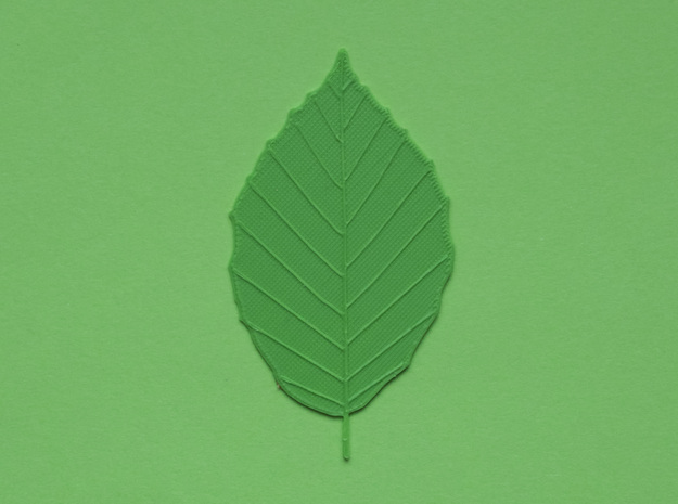 Beech tree leaf in Green Processed Versatile Plastic