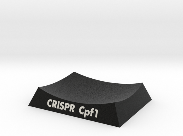 CRISPR Cpf1 AR Base in Natural Full Color Sandstone: Small