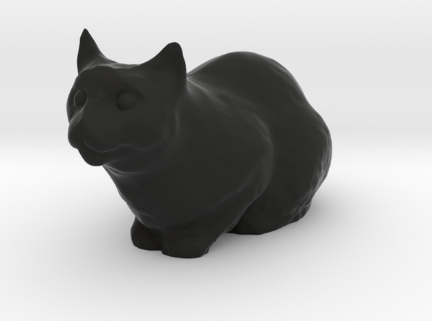 1/20 Cat Loaf  in Black Natural Versatile Plastic