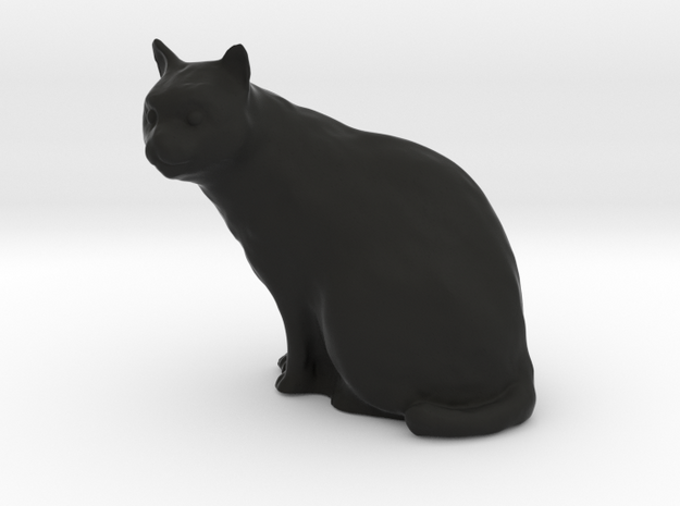 1/20 Cat Sitting in Black Natural Versatile Plastic