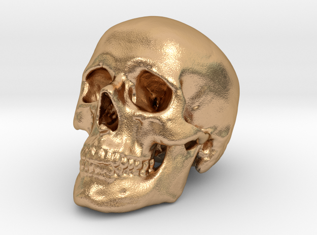 Skull Scientific 62mm in Natural Bronze