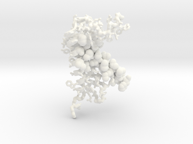 Lipoprotein signal peptidase II in White Processed Versatile Plastic