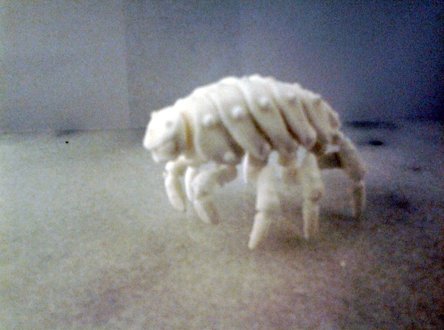 Articulated Predominant Isopod A Ball-Jointed Kit in White Natural Versatile Plastic