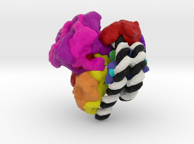 Chromatin Remodeler Nucleosome Complex in Natural Full Color Sandstone: Small