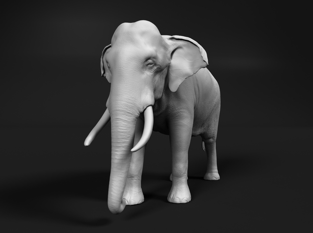 Indian Elephant 1:48 Standing Male in White Natural Versatile Plastic