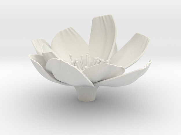 Flower in White Natural Versatile Plastic