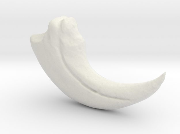 Baryonyx Claw in White Natural Versatile Plastic