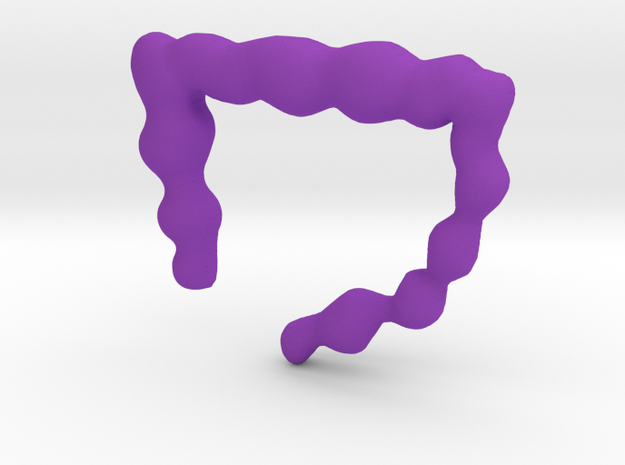 Instestines.stl in Purple Processed Versatile Plastic