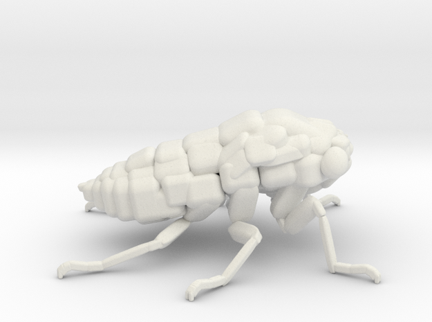 Cicada! The Somewhat Smaller Square-ish Sculpture in White Natural Versatile Plastic