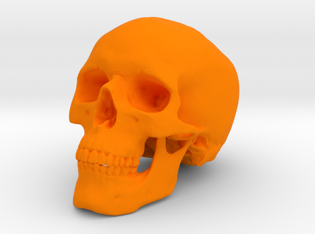 Skull in Orange Processed Versatile Plastic