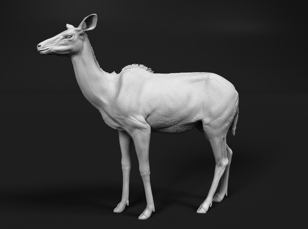 Greater Kudu 1:25 Chewing Female in White Natural Versatile Plastic