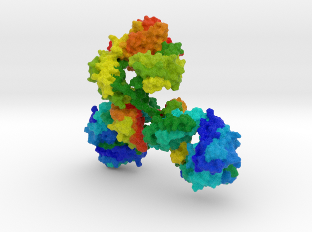 Immunoglobulin Antibody (Medium)  in Natural Full Color Sandstone
