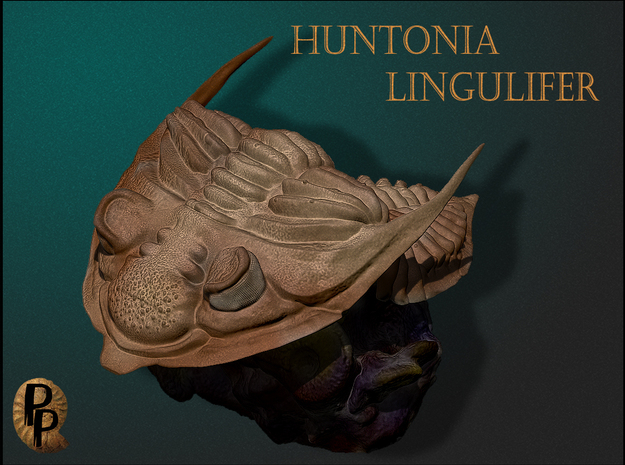 Trilobite -Huntonia Lingulifer with Ammonite stand in White Natural Versatile Plastic