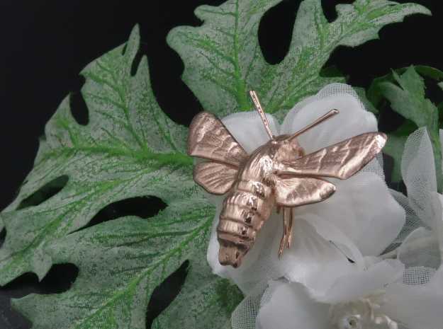 Hummingbird Hawk-Moth Pendant (hollow version) in 14k Rose Gold Plated Brass