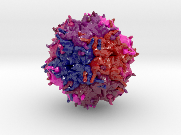 Adeno-Associated Virus 2 (Large) in Glossy Full Color Sandstone