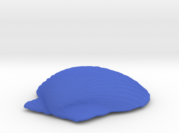 Large Seashell in Blue Processed Versatile Plastic