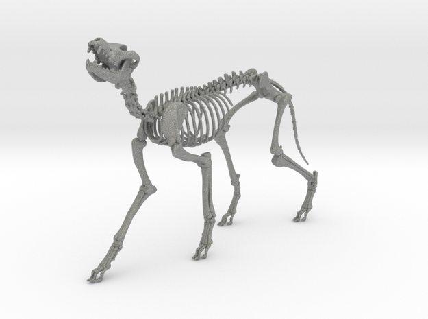 Skeletal Wolf (Howling)