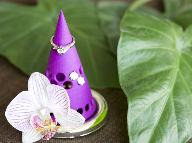 Rings and earrings holder in Purple Processed Versatile Plastic
