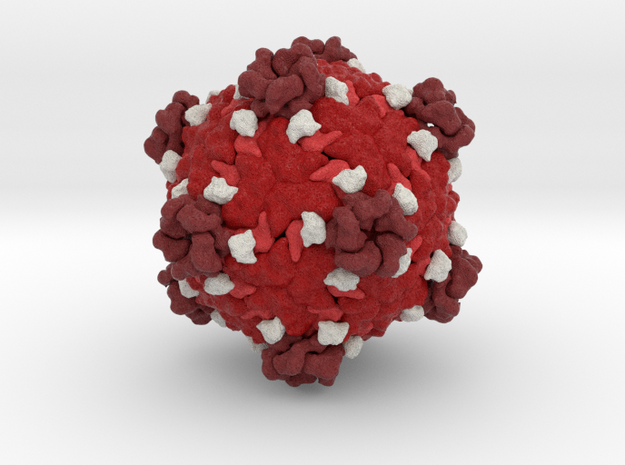Fako Virus in Natural Full Color Sandstone