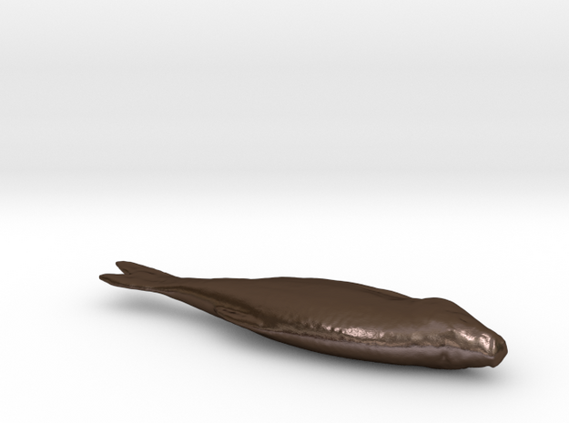Fish 3d Scan in Polished Bronze Steel
