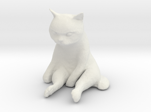 1/12 Grumpy Cute Cat Sitting in White Natural Versatile Plastic