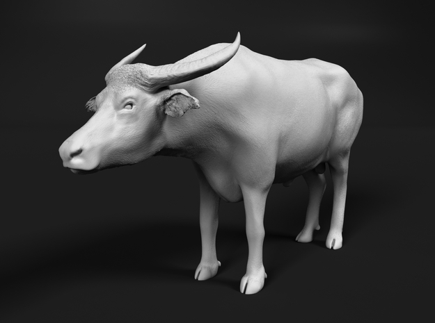 Domestic Asian Water Buffalo 1:30 Standing Male in White Natural Versatile Plastic