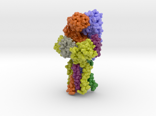 T Cell Receptor CD3 Hexamer Complex 6JXR in Glossy Full Color Sandstone: Small