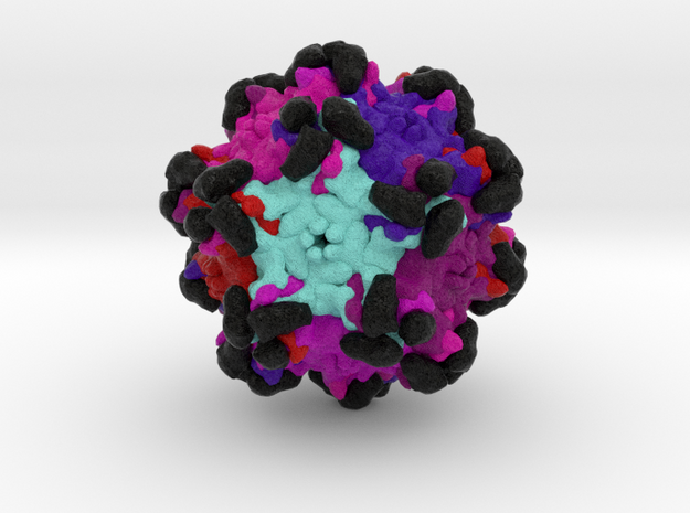 Adeno-Associated Virus in complex with AAVR in Natural Full Color Sandstone