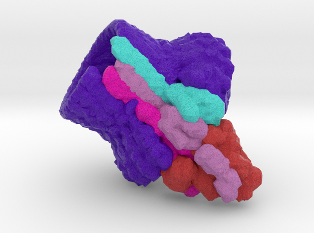 Membrane Attack Complex in Natural Full Color Sandstone