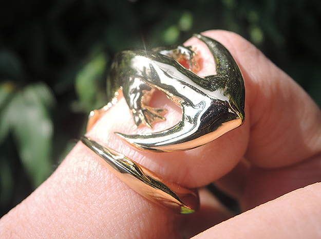 Diplocaulus Ring in Polished Brass