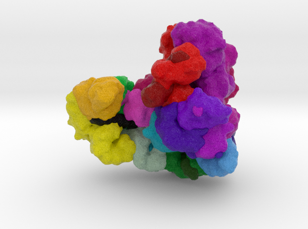 Anaphase-Promoting Complex (Cyclosome) in Natural Full Color Sandstone