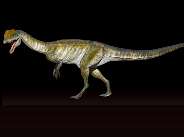 Dilophosaurus 1:15 scale  in White Natural Versatile Plastic: 1:50