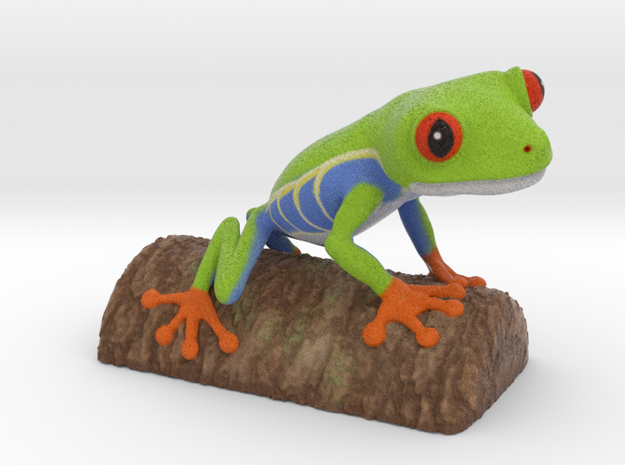 Red-eyed Tree Frog in Natural Full Color Sandstone