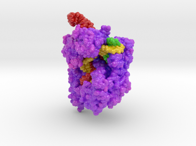 CRISPR-Cas9 5AXW in Glossy Full Color Sandstone: Extra Small
