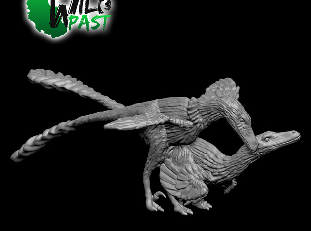 Raptor Dance - 1:35 Velociraptor in White Natural Versatile Plastic