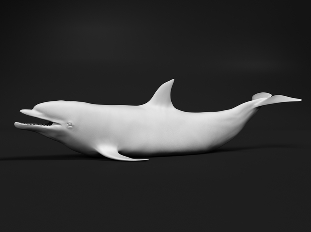 Bottlenose Dolphin 1:16 Out of the water 1 in White Natural Versatile Plastic