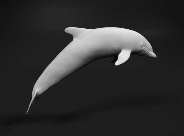 Bottlenose Dolphin 1:48 Breaching 3 in White Natural Versatile Plastic