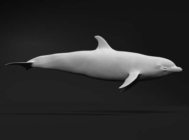 Bottlenose Dolphin 1:22 Swimming 2 in White Natural Versatile Plastic