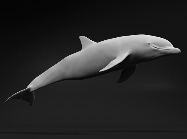 Bottlenose Dolphin 1:48 Swimming 3 in White Natural Versatile Plastic