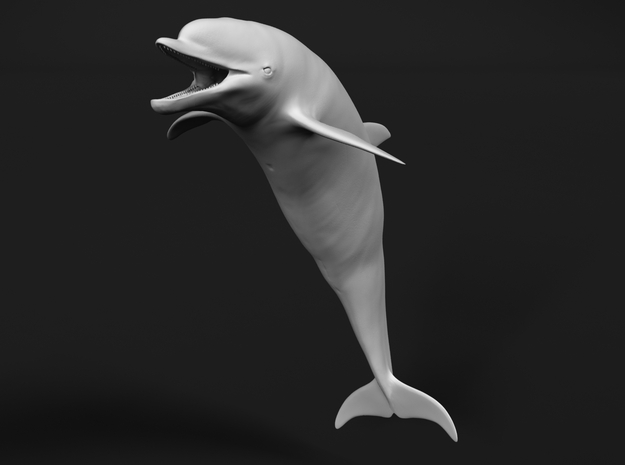 Bottlenose Dolphin 1:16 Mouth open in White Natural Versatile Plastic