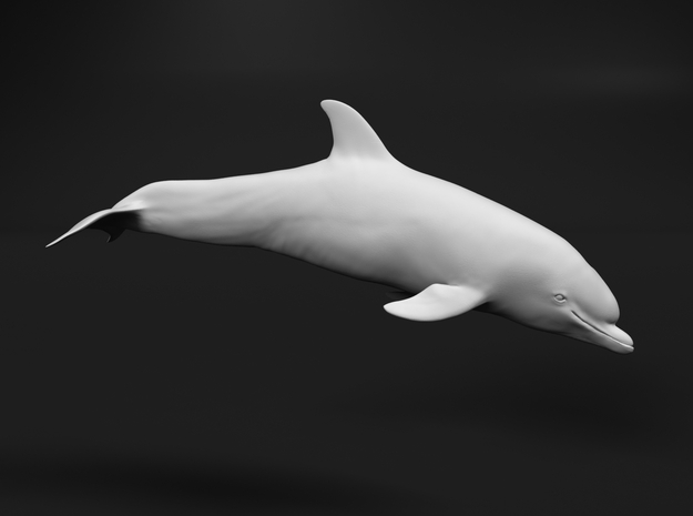 Bottlenose Dolphin 1:22 Calf 1 in White Natural Versatile Plastic