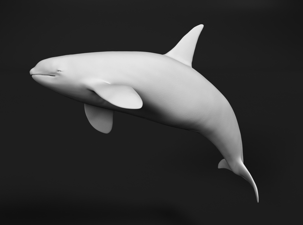 Killer Whale 1:96 Breaching Male in Tan Fine Detail Plastic