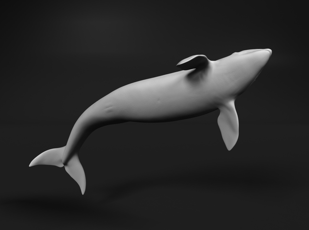 Killer Whale 1:48 Breaching Female in White Natural Versatile Plastic