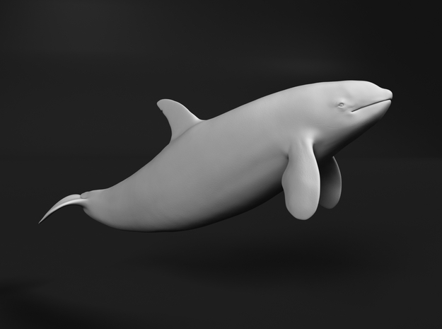 Killer Whale 1:120 Swimming Female 1 in Tan Fine Detail Plastic