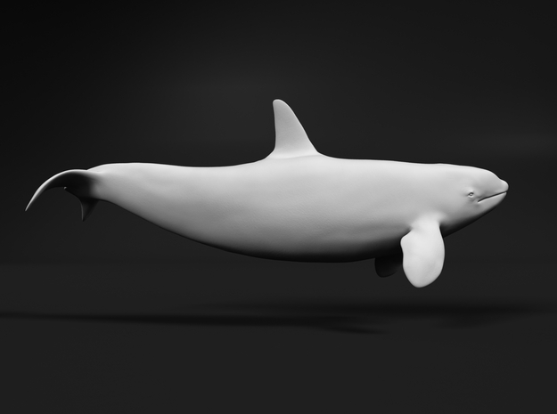 Killer Whale 1:160 Swimming Female 2 in Tan Fine Detail Plastic