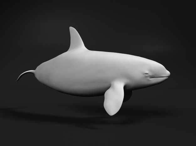 Killer Whale 1:220 Swimming Female 3 in Tan Fine Detail Plastic