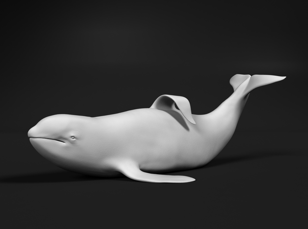 Killer Whale 1:120 Captive male out of the water in Tan Fine Detail Plastic