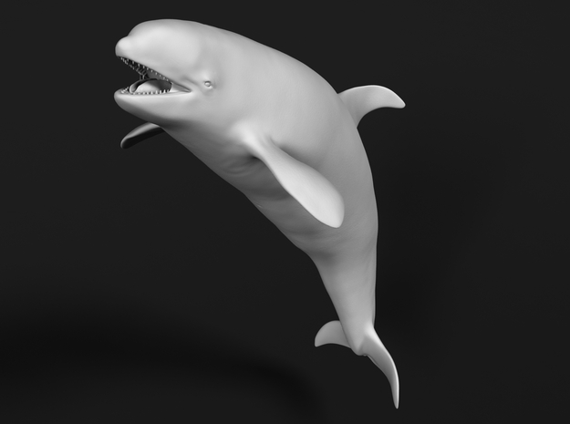 Killer Whale 1:76 Female with mouth open 1 in White Natural Versatile Plastic