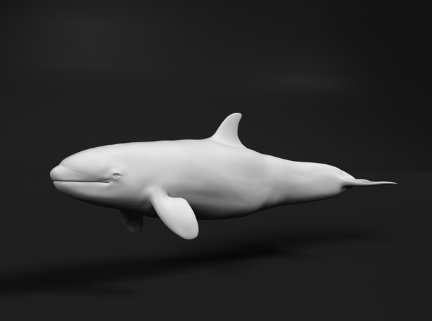 Killer Whale 1:16 Calf 1 in White Natural Versatile Plastic